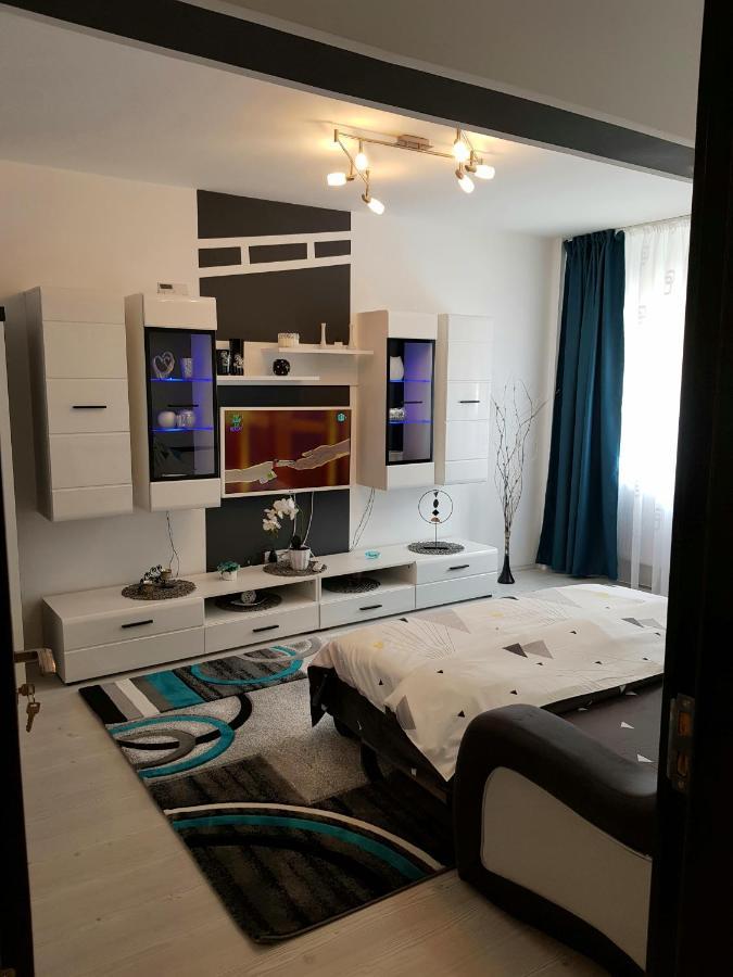 Apartament Sofy2 Băile Herculane Dış mekan fotoğraf
