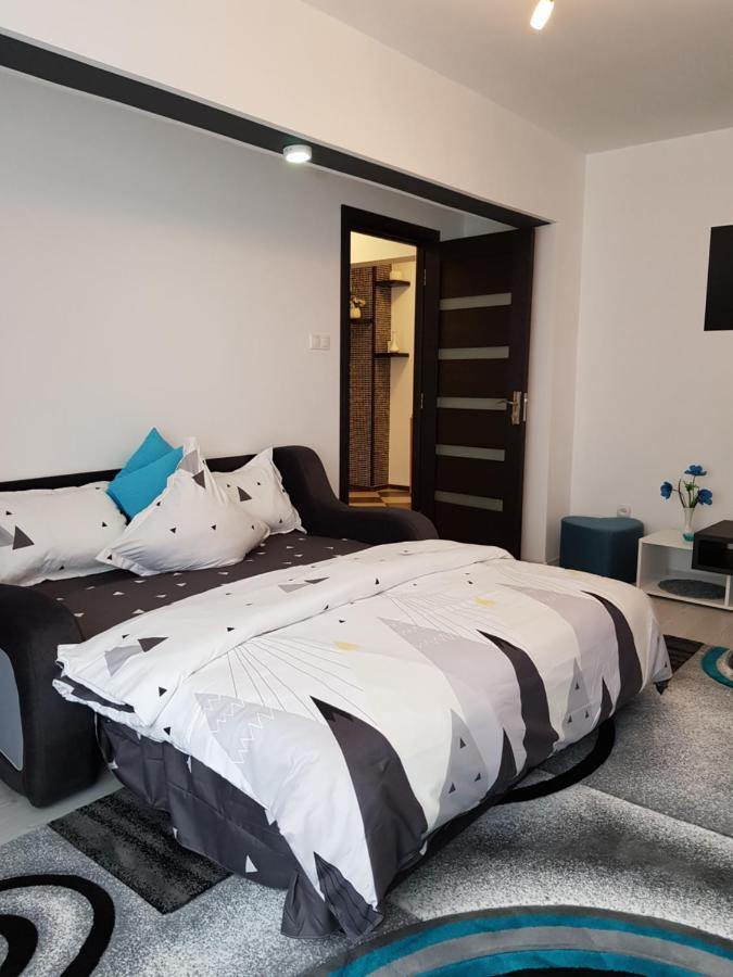 Apartament Sofy2 Băile Herculane Dış mekan fotoğraf