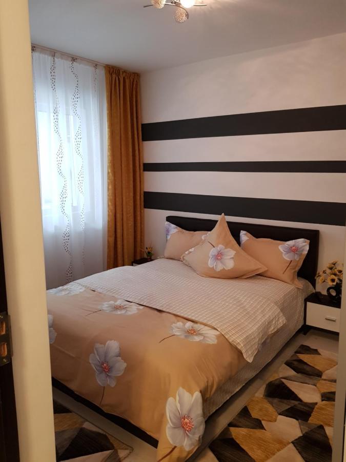 Apartament Sofy2 Băile Herculane Dış mekan fotoğraf