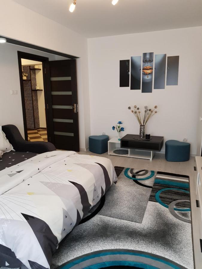 Apartament Sofy2 Băile Herculane Dış mekan fotoğraf
