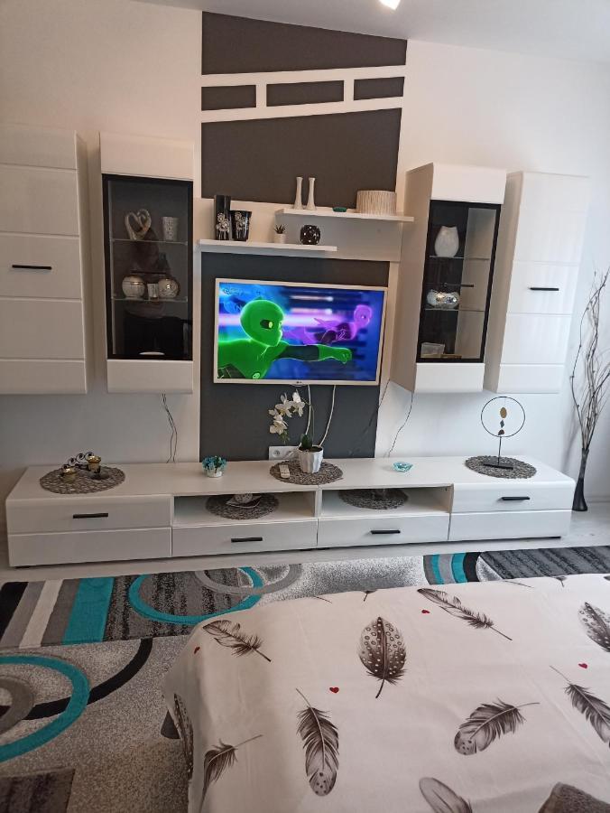 Apartament Sofy2 Băile Herculane Dış mekan fotoğraf