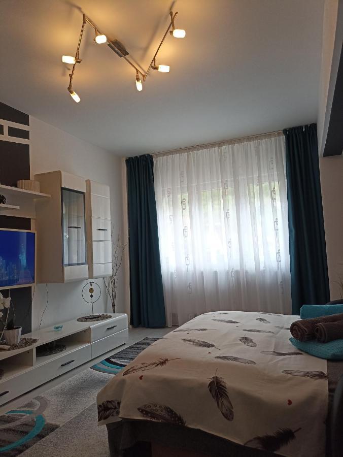 Apartament Sofy2 Băile Herculane Dış mekan fotoğraf