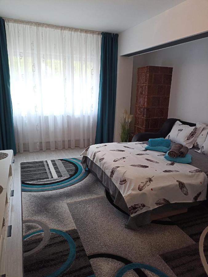 Apartament Sofy2 Băile Herculane Dış mekan fotoğraf